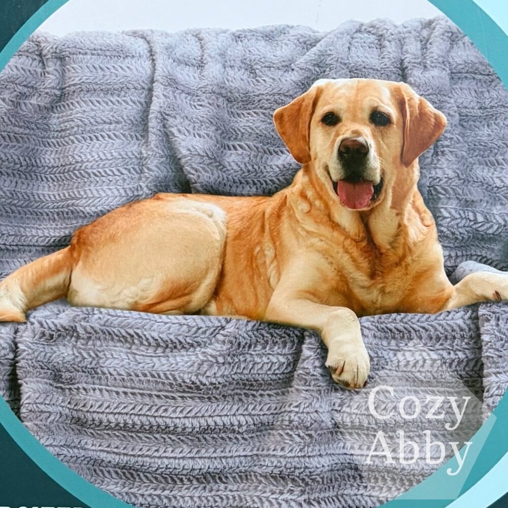 Brentwood Oversized Waterproof Pet Blanket and Furniture Protector Double Lined